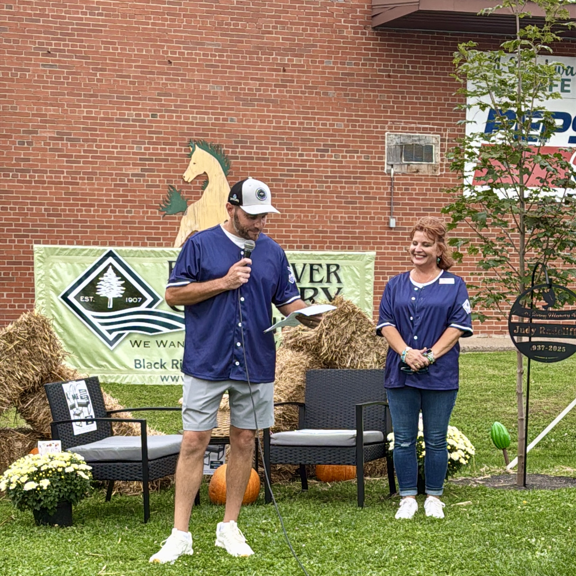 Governance and board work